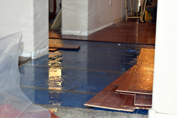 Professional Storm Water Damage Restoration technician working in Canova, SD
